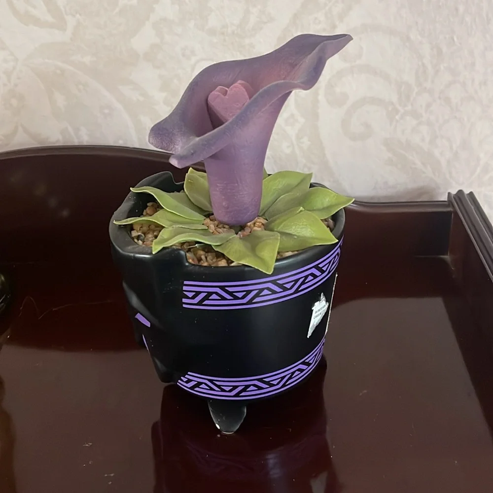 Purple Decorative Flower Pot from Disneyland